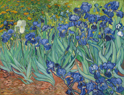 Vincent van Gogh - Irises, 1889 - J. Paul Getty Museum - Los