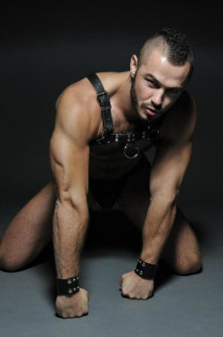 leatherhostage:  go to archive http://leatherhostage.tumblr.com