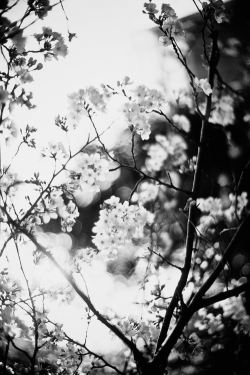 abovethe-best.tumblr.com/post/64322368217/