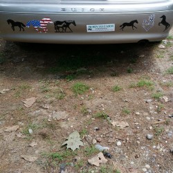 Now my cars bumper is complete!