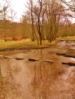vwcampervan-aldridge:  Stepping stones at Cannock Chase, Staffordshire,