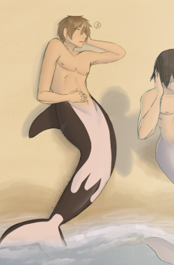 doodlingsofmilo:  Orca-derived merpeople beach themselves for