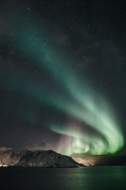 classyxsexxy:  The Northern Lights | cXs 