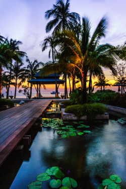 sublim-ature:  Koh Chang, ThailandRosemary Walden 