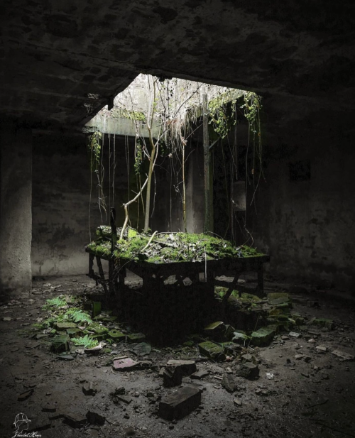 rhubarbes:carte.urbex 