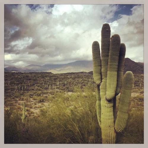 I love when the desert is rainy and overcast.