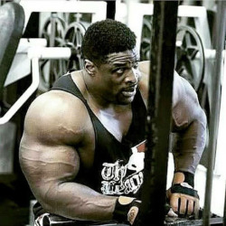 bodybuildinglifestyle:  drwannabe:  Ronnie Coleman  300+lbs…damn