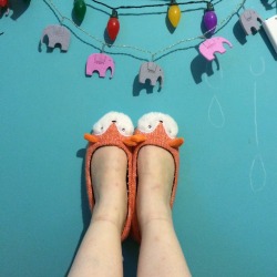 Went shopping and bought little fox slippers and little pots