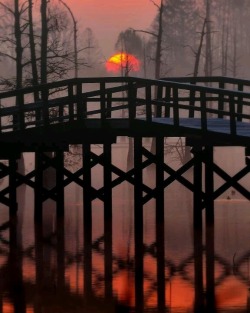 bluepueblo:   Bayou Bridge, Louisiana photo via kathleen 