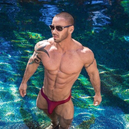 kootnybehr:  Scott Cullens   