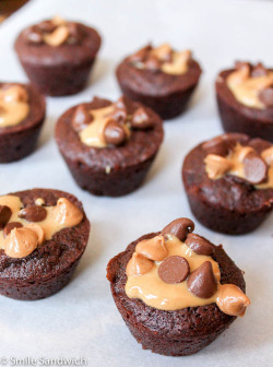 foodishouldnoteat:  Peanut butter brownie bites  