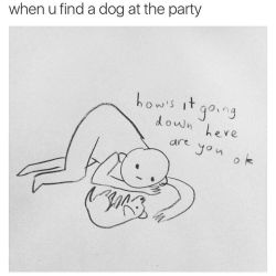 🙋🏻 who else? #doglover #party #dogsoverpeople by 1rosiejones