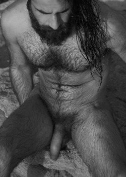 manlybush:  Beardy hairy chested guy with lovely hairy arms and
