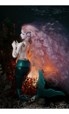 diaryofalandlockedmermaid:  Mermaid Tara by Dollmore. 