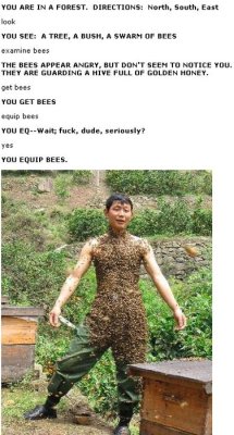 crackervolley:  meme-meme:  equip bees.  PAIN~  lolz :B