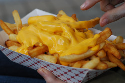 thefoodswag:  A disgustingly huge portion of cheese fries (by