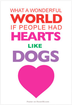 aplacetolovedogs:  What a wonderful world if people had hearts