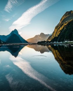 different-landscapes:  Milford Sound, New Zealand 🇳🇿  Photo