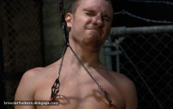 gaymaletorture:  hardcore anal gay sex  That’s right dude!