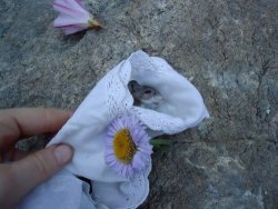 pet-burial:  Mouse funeral. 