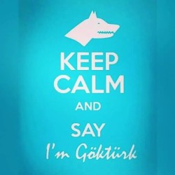 tengritagh:  Keep calm and say I’m Göktürk! #Göktürk #bozkurt