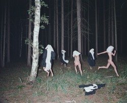 monsterllized:   ♡Similar posts here ♡ 