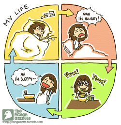 wannajoke:  Life in a nutshell