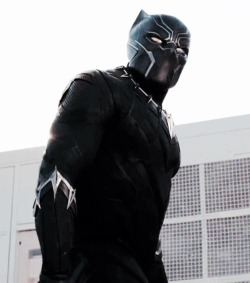 johnzombi:  Prince T'Challa aka The Black Panther  Captain America: