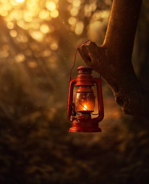 autumncozy:  By Ashraful Arefin