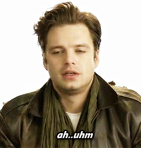 evanss-chris:  Sebastian Stan is certainly a lost Romanian puppy.