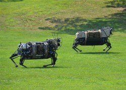 robotpignet:  Boston Dynamics big dog / DARPA LS3