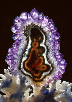 stellar-indulgence:  More Rocks And Minerals by Warren Krupsaw