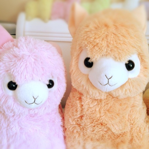 moccoe:  Rainbow macaroons  There’s like, a direct correlation between how many Alpacasso photos other post and how many mini tantrums I have. This is like being a kid and keeping on seeing ads for fancy, light up Polly Pockets and freaking out