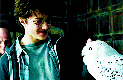 hermionergranger:  “I can’t be a wizard. I mean, I’m