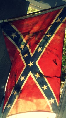 artsyslob:  Rebel Flag billowing in the sunlight after a trashy/classy