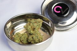coralreefer420:  King Louis OG in my @cvault.
