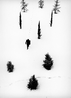 wonderfulambiguity: Alfredo Camisa, Inverno, 1956
