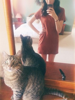 babycatlaura:  Little rascal wants to be in the pic.   And why