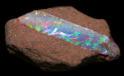 fuckyeahmineralogy:  Opal in Ironstone matrix; Queensland, Australia