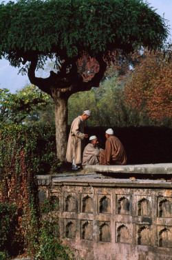 ghamzadi:  Kashmir, 1998[Photo: Steve McCurry, Magnum Photos]