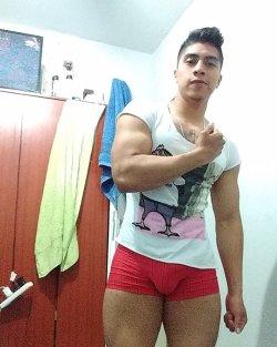 chicosguaposlindos:  HamiltonM95 - Chacal Gay