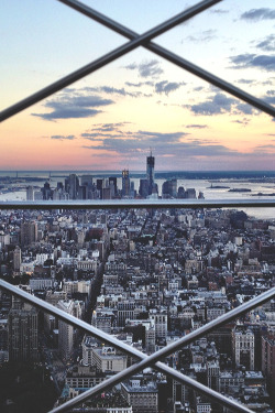 ikwt:  Freedom Tower from the Empire State Building (Tatyana)