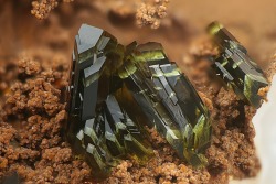 underthescopemineral:  Olivenite  Cu2AsO4(OH)  Locality:Clara