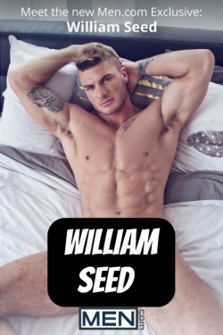 WILLIAM SEED at MEN - CLICK THIS TEXT to see the NSFW original.