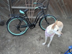 Wish I had picked up bike riding sooner. Also Juvia wanted to