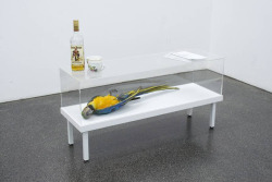contemporary-art-blog:    English artist Jonathan Monk, The Physical