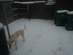 At least Juvia’s excited about the snow..