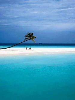 eroticimages:  come away .. with Me