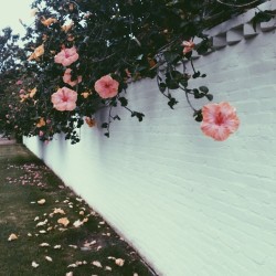 you're art