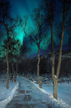 gyclli:   Northern Lights  nordlys7 *** By nb_harstad   